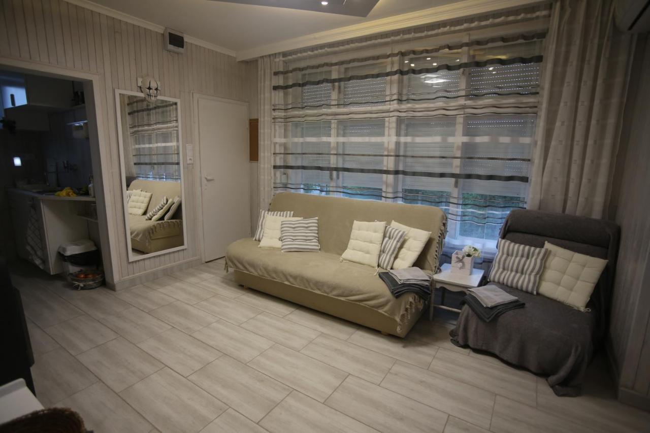 Lakilak Pihenohaz A Holt-tisza Partjan, Termalfuerdonel, Apartmán